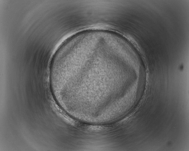 X0000115671232200912031348