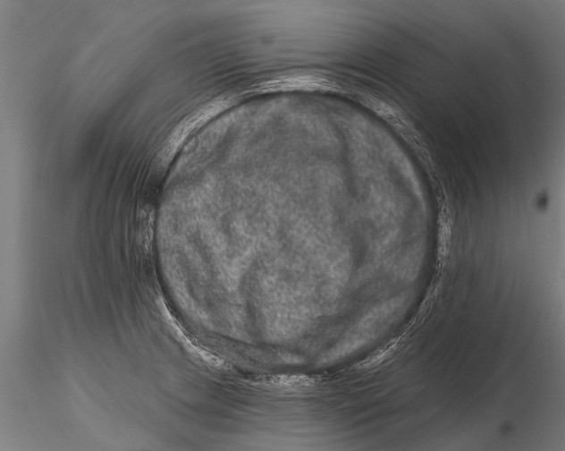 X0000115671233200912031348