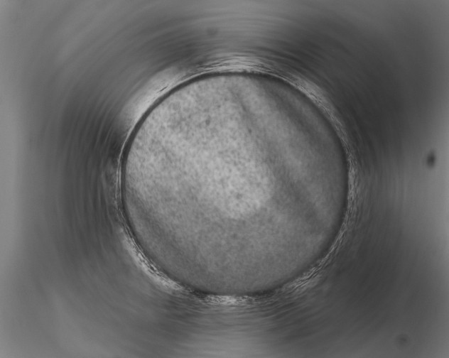 X0000115671234200912031348