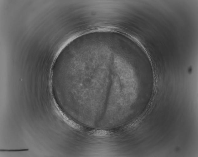 X0000115671235200912031348