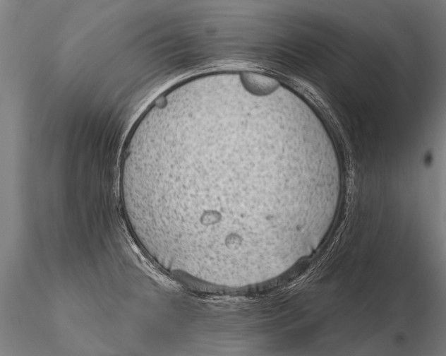 X0000115671236200912031348