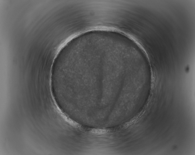 X0000115671237200912031348