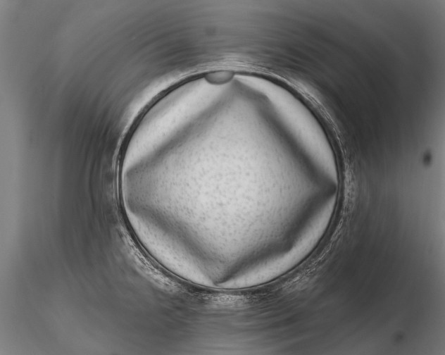 X0000115671238200912031348