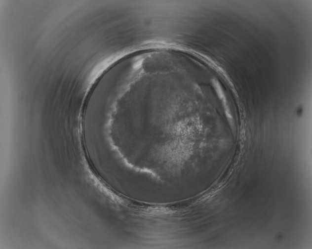 X0000115671239200912031348