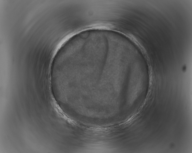 X0000115671240200912031348