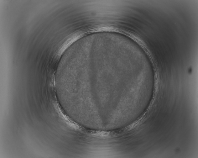 X0000115671241200912031348