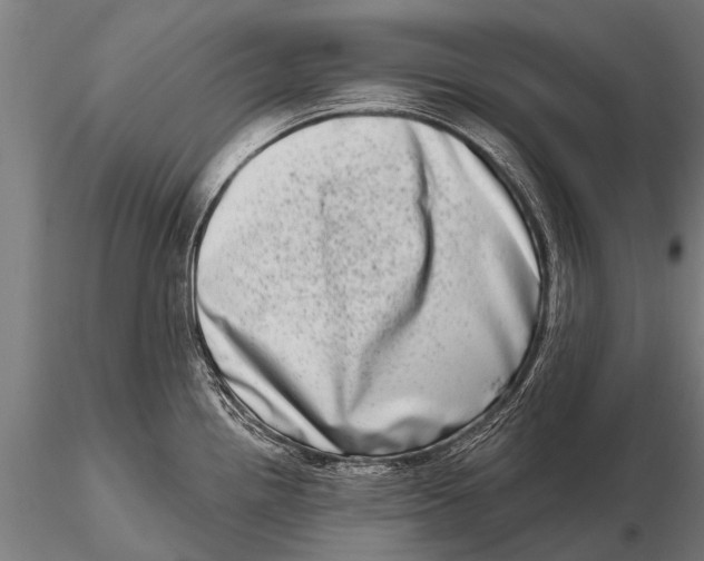 X0000115671242200912031348