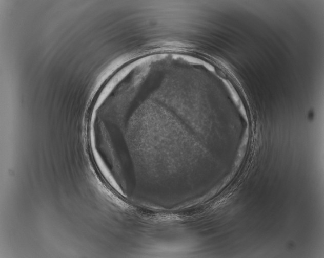 X0000115671243200912031348