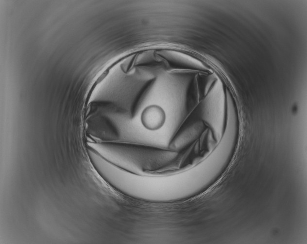 X0000115671244200912031348