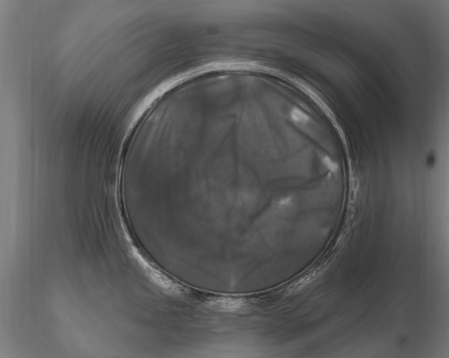 X0000115671245200912031348