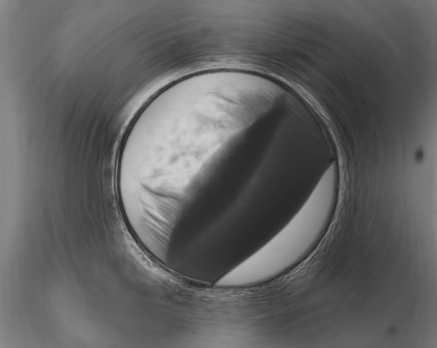 X0000115671246200912031348