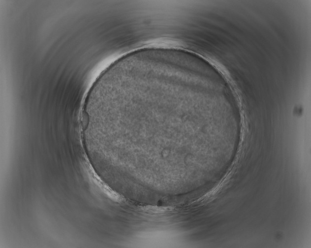 X0000115671248200912031348