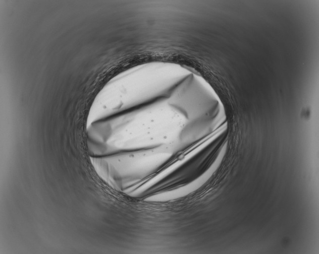 X0000115671249200912031347