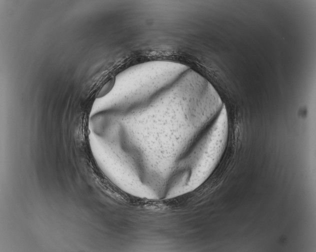 X0000115671250200912031347