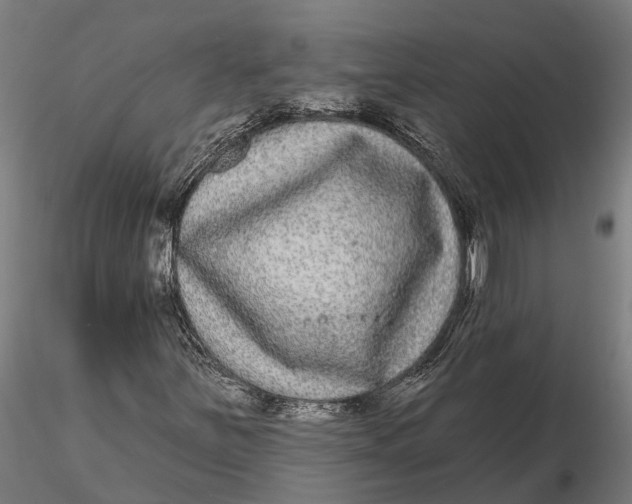 X0000115671251200912031347