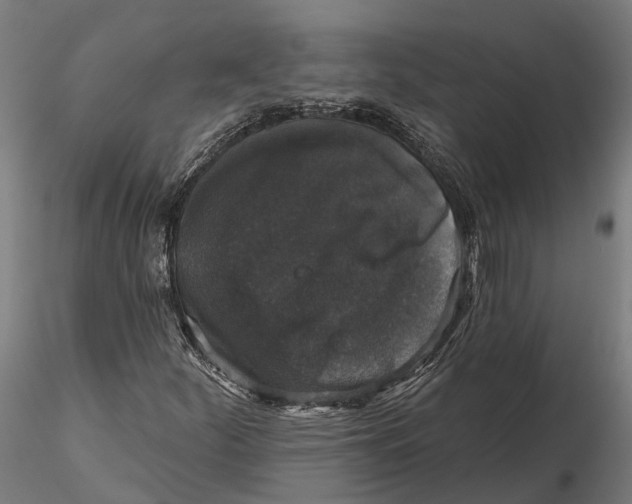 X0000115671252200912031347