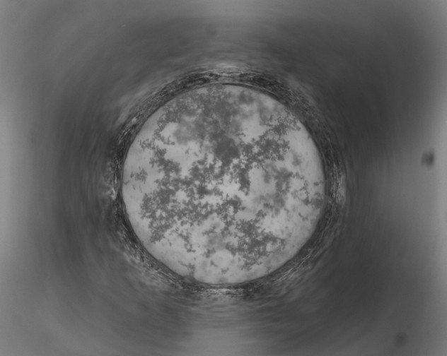 X0000115671253200912031347