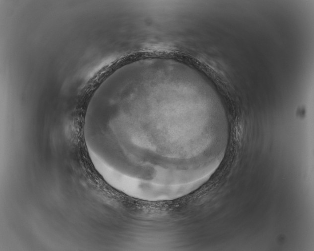 X0000115671254200912031347