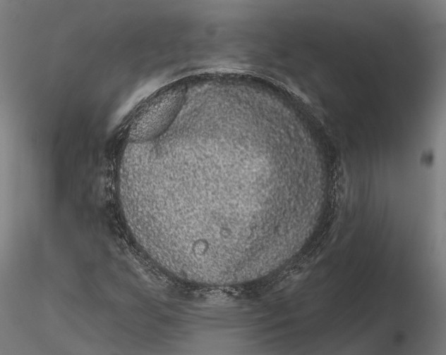 X0000115671255200912031347