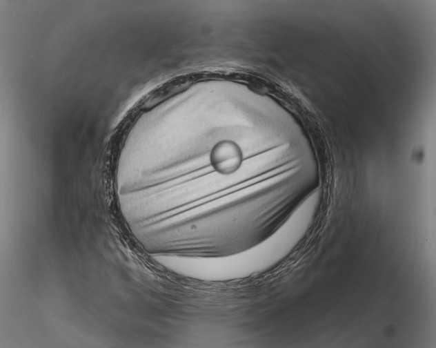 X0000115671256200912031347