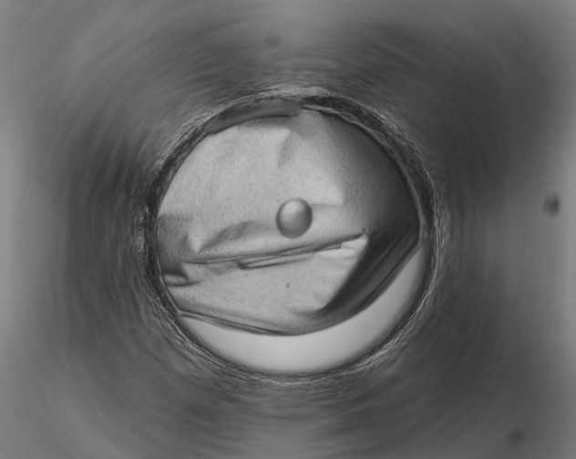 X0000115671257200912031347