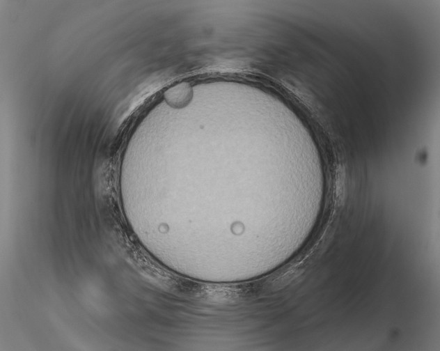 X0000115671258200912031347