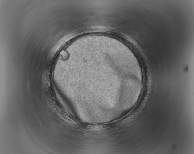 X0000115671259200912031347