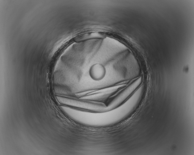 X0000115671261200912031347