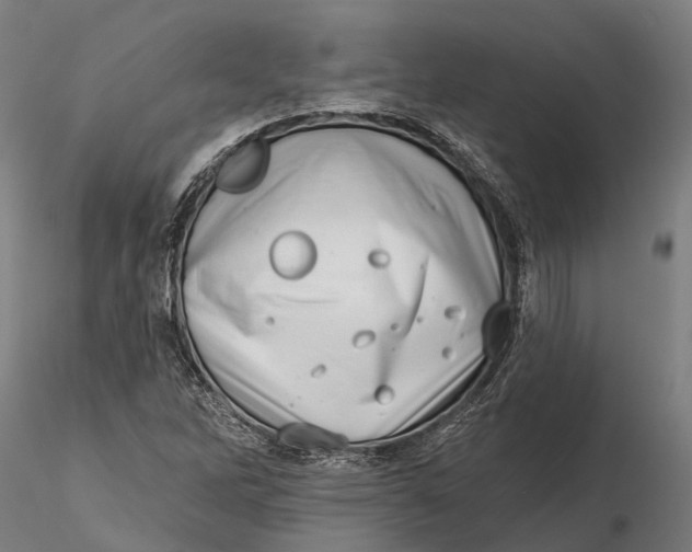 X0000115671262200912031347