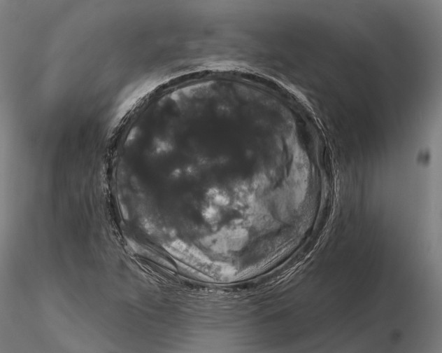 X0000115671263200912031347