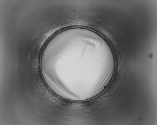 X0000115671264200912031347