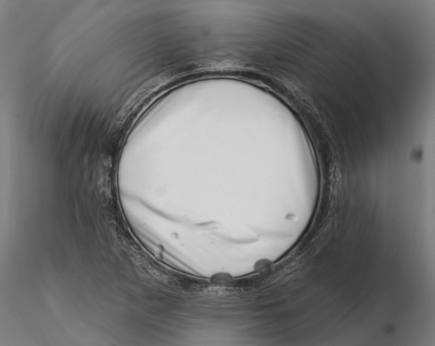 X0000115671265200912031347