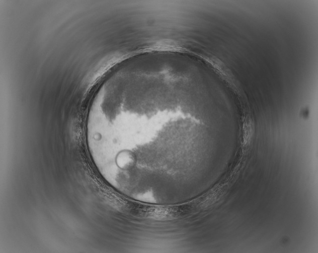 X0000115671266200912031347