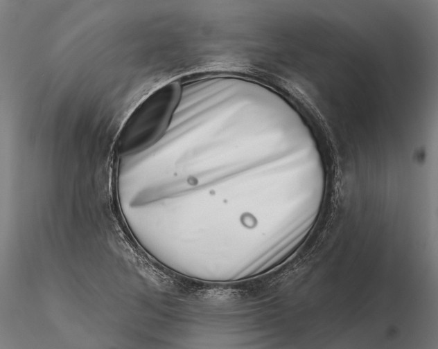 X0000115671268200912031347