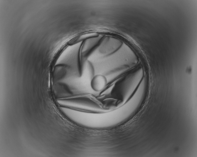 X0000115671269200912031347