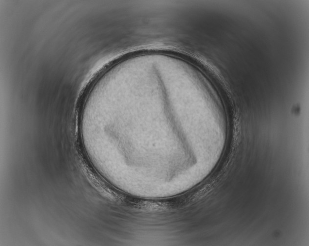 X0000115671270200912031347