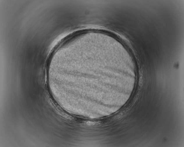 X0000115671271200912031347