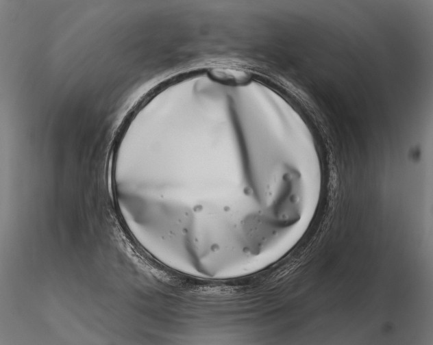 X0000115671272200912031347