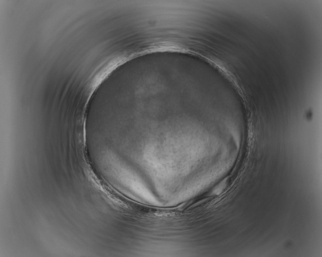 X0000115671274200912031347