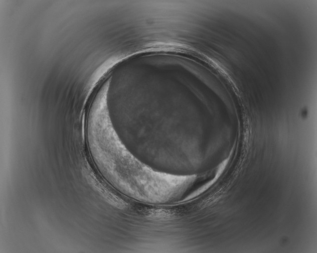 X0000115671275200912031347