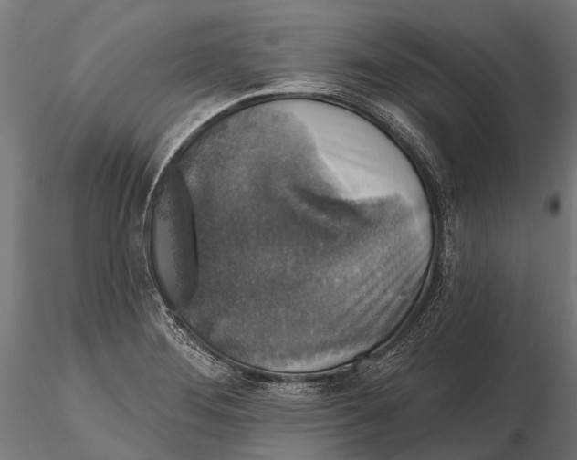 X0000115671276200912031347