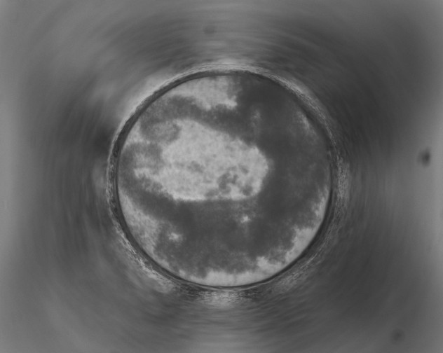 X0000115671278200912031347