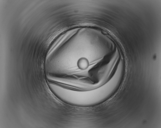 X0000115671281200912031347