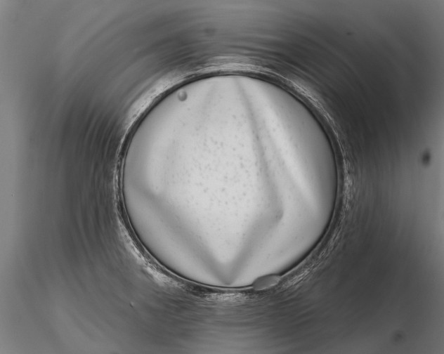 X0000115671282200912031347