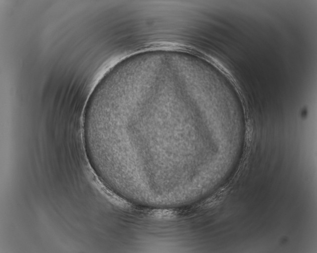 X0000115671283200912031347