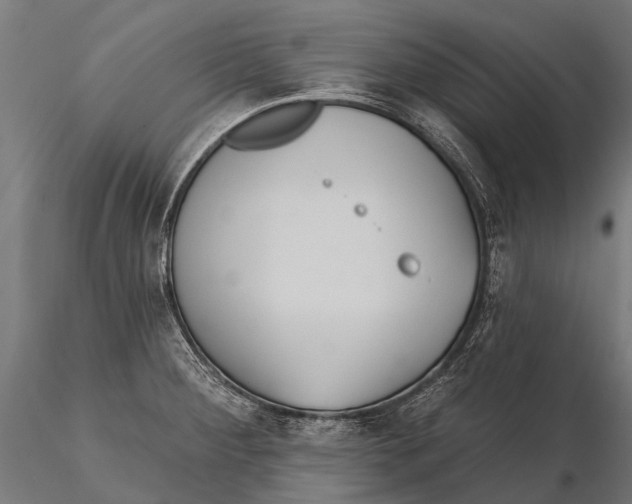 X0000115671284200912031347