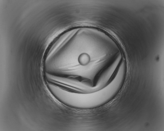 X0000115671285200912031347