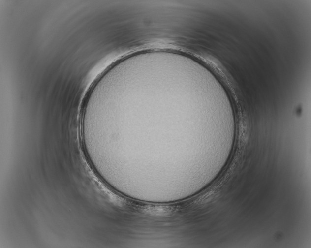 X0000115671286200912031347