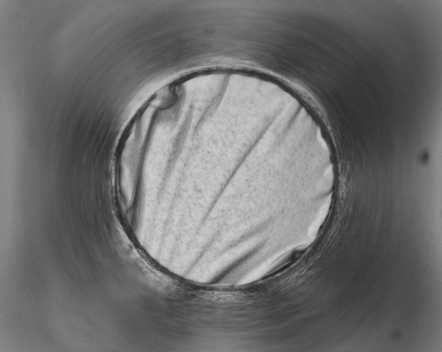 X0000115671287200912031347