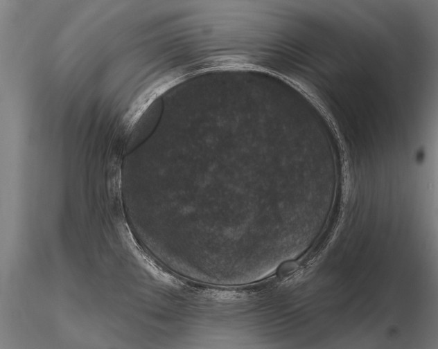 X0000115671289200912031347